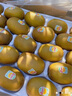 佳沛（zespri）新西蘭陽光金果10個裝獼猴桃單果重約101-124g水果獼猴桃 曬單實拍圖