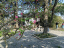 蘭芝蘭芝【京倉配送】夜間呵護唇膜莓果味20g補水保濕潤唇免洗秋冬 草莓唇膜20g#【1瓶】 曬單實(shí)拍圖