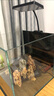 尼奧光 NEO-HELIOS魚缸燈水草燈LED燈S3proRGB植物光譜 13W新款尼奧S3pro+【高亮自然版雙倍亮度】 曬單實拍圖