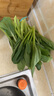 云南廣東正宗新鮮油菜心芥蘭菜新鮮蔬菜白灼現(xiàn)摘現(xiàn)發(fā)批發(fā)新鮮芥蘭 2斤油菜心(冷鏈發(fā)貨) 曬單實(shí)拍圖