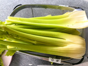 【現(xiàn)摘順豐】山東壽光榨汁西芹新鮮10斤芹菜去半葉西洋芹脆嫩蔬菜 【現(xiàn)摘現(xiàn)發(fā)+順豐到家】=新鮮出汁 【去葉5斤】療愈健康 曬單實拍圖