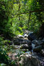永諾 YN50mm F1.8II 二代佳能單反卡口標(biāo)準(zhǔn)定焦大光圈全畫幅人像鏡頭 黑殼 曬單實(shí)拍圖