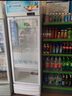 新飛（frestec）展示柜冷藏酒水飲料冰柜雙開(kāi)門(mén)商用冷柜水果蛋糕冷藏保鮮柜超市直冷玻璃門(mén)大容量便利店立式啤酒柜 單門(mén)藍白288L【經(jīng)濟直冷】 曬單實(shí)拍圖