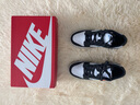 耐克（NIKE）官方DUNK LOW男子輕便運動鞋秋季膠底板鞋低幫復古IB3079 100白/淺軍械藍/煤黑 42 曬單實拍圖