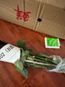 得力（deli）熊貓竹影系列按動(dòng)中性筆 秒干墨水 0.5mmST頭學(xué)生刷題筆考試筆辦公簽字筆 黑色4支/盒SA392 曬單實(shí)拍圖