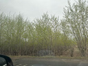 大度（DADU）集成集成吊頂30*45風(fēng)暖浴霸 LED燈多功能全金屬300*450浴霸暖風(fēng)機型 300X450 86型標準開關(guān) 曬單實拍圖