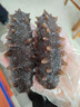 明威海參即食海參 深海冷凍遼刺參 非干參 單只裝 生鮮海鮮冷凍水產(chǎn)禮盒 1000g 1000g手提裝20-30只 曬單實(shí)拍圖