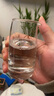 茅臺（MOUTAI）1935 醬香型白酒 53度 500ml 單瓶裝 新老包裝隨機發(fā) 曬單實拍圖