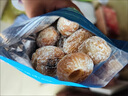 正宗特產(chǎn)干蜜棗包粽子煮粥煲湯金絲干蜜棗休閑小零食堅果蜜餞果干 無(wú)核干蜜棗【2斤裝】 曬單實(shí)拍圖