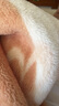 UR2025夏季新款女裝波嬉風(fēng)垂感長(zhǎng)款無(wú)袖連衣裙UWG750056 本白 M 曬單實(shí)拍圖