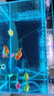 金晶超白魚缸客廳桌面小魚缸玻璃草缸龜缸懶人家用生態(tài)造景水族箱 長40CM寬24CM高25CM（厚度5MM） 金晶超白魚缸裸缸 曬單實(shí)拍圖