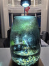 丘辰苔蘚微景觀養(yǎng)魚生態(tài)瓶diy辦公室內(nèi)桌面綠植擺件花卉盆栽生日禮物 翠微松（實木底座） 曬單實拍圖