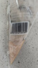 338 北海青蝦滑150g/袋 1A標(biāo)準(zhǔn) 蝦肉大顆粒 麻辣燙關(guān)東煮火鍋食材 曬單實拍圖