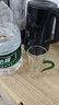 憶壺茶（YIHUTEA）太平猴魁專(zhuān)用茶杯玻璃泡茶杯耐熱綠茶杯猴魁茶葉專(zhuān)用杯猴魁杯子 【綠把】知春綠茶杯-200ml 曬單實(shí)拍圖