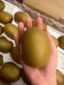 佳沛（zespri）新西蘭  陽光金奇異果巨大果22粒原箱 單果重約144-175g 獼猴桃 曬單實(shí)拍圖