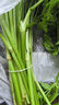 思蔬新鮮水芹菜蔬菜原生態(tài)野菜小葉水芹菜無(wú)節水芹農家 1000g 曬單實(shí)拍圖