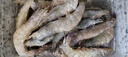 東上御品蝦 青島大蝦基圍蝦鮮活青蝦白蝦海蝦對(duì)蝦冰蝦凍蝦生鮮 蝦類 海鮮 3斤(凈重)  氣凍大蝦【活蝦速凍】 15-18cm【單只超大蝦】 曬單實(shí)拍圖