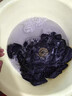 VERSACE JEANS COUTURE范思哲短袖t恤男士休閑混色打底兩件裝 保稅倉(cāng)發(fā) AU10193 1A10011 混色-A225E 2XL 曬單實(shí)拍圖