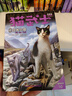 【當當正版童書(shū)】貓武士 新譯本大禮盒 全42冊  一二三四五六七部系列全套 7-10歲成長(cháng)文學(xué)課外閱讀 貓武士四部曲（全6冊） 曬單實(shí)拍圖