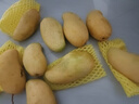 譯優(yōu)農(nóng)正宗海南芒果三亞金煌芒新鮮熱帶水果當(dāng)季水仙特大甜心芒特產(chǎn)送禮 凈重9斤大果【單果400g+】 曬單實(shí)拍圖