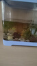 瘋狂水草（FKSC）真水草魚缸造景套餐凈化水質(zhì)懶人魚缸水草植物直接入缸蜈蚣草 【火山石】水草組合一3棵裝 曬單實拍圖