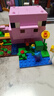 樂高（LEGO）積木拼裝玩具 我的世界 21268豬寶寶房屋 7歲+ 七夕情人節(jié)禮物 曬單實拍圖
