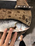 品鮮奕號海鱸魚(yú) 新鮮海捕整條活凍海鱸魚(yú) 深海魚(yú) 生鮮 鱸魚(yú) 海鮮水產(chǎn) 年貨 整條海鱸魚(yú)3條裝（1斤左右/條） 曬單實(shí)拍圖