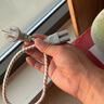 公牛電源線三孔通用電腦主機(jī)顯示器三芯帶插頭連接線電飯鍋電飯煲電炒鍋線平口凹槽品字口耦合器插座 平口/凹槽口通用【線很短謹(jǐn)慎購(gòu)買】0.5米J4N 曬單實(shí)拍圖
