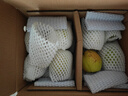 京鮮生 新疆庫爾勒香梨 凈重5斤 單果100g-120g 新鮮水果 源頭直發(fā) 曬單實(shí)拍圖