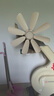 駱駝電風(fēng)扇家用夾子風(fēng)扇電扇小型夾扇迷你靜音辦公室床上壁掛臺式學(xué)生宿舍電風(fēng)扇 升級強風(fēng)八葉夾扇【米色】 標配1.2電源線(xiàn) 曬單實(shí)拍圖