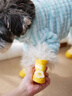 甜苗苗狗狗雨鞋小型犬寵物狗鞋子泰迪比熊博美夏季防掉防臟不濕腳硅膠鞋 狗狗雨鞋【洛克黃雞蛋仔】 M（建議體重3-8斤） 曬單實拍圖