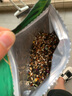 寵德奇鸚鵡糧美毛愛護腸胃虎皮玄武牡丹鳥糧中小型鸚鵡通用糧cdq 鸚鵡糧1包裝【1kg】 曬單實拍圖