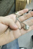 富貴鹿富貴鹿 可轉(zhuǎn)動(dòng)回紋吊墜男女 925銀轉(zhuǎn)動(dòng)復(fù)古泰銀男士單身潮銀飾 2款 曬單實(shí)拍圖