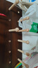 首彬實(shí)木洞洞板置物架定制掛板木質(zhì)入戶(hù)玄關(guān)配件洞洞墻板原木書(shū)架收納 方形40*60套餐組合【木紋色】 曬單實(shí)拍圖