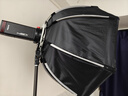 神牛（Godox）AD200proII閃光燈外拍閃光燈鋰電池口袋便攜外拍攝影補(bǔ)光燈單反相機(jī)高速TTL閃光燈 圓形燈頭H200R 官方標(biāo)配 曬單實(shí)拍圖