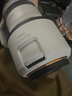佳能（Canon）RF100-500mm F4.5-7.1 L IS USM 全畫幅RF 卡口 超遠(yuǎn)攝L級(jí)大變焦鏡頭 濾鏡禮包套裝 曬單實(shí)拍圖