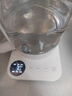 米家小米養(yǎng)生壺燒水壺恒溫電熱水壺煮茶壺泡茶器一體機304不銹鋼米家小白壺 家用辦公室 附茶漏N1 1.5L 曬單實拍圖