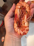 漁忘憂(yōu)九節蝦干特大干蝦斑節對蝦烤蝦干即食大號孕婦零食海鮮特產(chǎn) 中號蝦干【約96只】1斤 曬單實(shí)拍圖