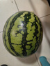 【產(chǎn)地直采】麒麟奶油西瓜 約4.5kg 曬單實(shí)拍圖