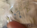 IEF/愛(ài)依服連衣裙2025夏季新款森系小清新淑女度假風(fēng)顯瘦連衣長(cháng)裙 曬單實(shí)拍圖