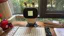 元蘿卜SenseRobot AI下棋學(xué)練機(jī)器人 象棋 圍棋 國際象棋 五子棋【四合一】3-12歲 啟蒙 學(xué)棋 陪練 對弈 家用學(xué)習(xí) 曬單實(shí)拍圖