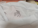 愛(ài)莉兒&歐蘿拉少女內褲女發(fā)育期12-16歲女童初中生高中生學(xué)生星期短褲女生6條 曬單實(shí)拍圖