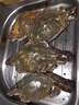 舟山梭子蟹鮮活特大野生大螃蟹新鮮冷凍海鮮水產(chǎn)海蟹飛蟹白蟹順豐 7-9兩/只【5斤 特大當(dāng)季船供】 曬單實(shí)拍圖