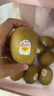 佳沛（zespri）新西蘭  陽(yáng)光金奇異果16粒禮盒經(jīng)典果單果約 77-103g 水果 獼猴桃 曬單實(shí)拍圖