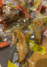 楚味天下（Chu taste the world）脆鳳爪秘制酸辣檸檬即食鹵味熟食脆雞爪辦公室休閑零食解饞小吃 秘制香辣味【一斤】 500g*1袋 曬單實(shí)拍圖
