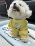 MIKI PAD狗狗防塵褲中小型犬狗狗防臟四腳衣防水防尿泰迪比熊戶外遛狗神器 黃色蠟筆畫【防水防臟】 S碼【背長25cm/建議2-3斤】 曬單實(shí)拍圖