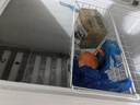 星星（XINGX）冰柜商用大容量商用一級(jí)能效518升528GE冷柜臥式冷藏冷凍轉(zhuǎn)換臥保鮮冷柜雪糕店超市餐飲店 【中梁除霜】718L商用冷柜728GE 曬單實(shí)拍圖