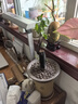 何首烏盆栽盆景老樁植物根球盆景爬藤植物中草藥植物盆栽盆景 80#何首烏（5年根球）20-30cm高 曬單實拍圖