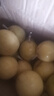 正宗廣西欽蜜9號(hào)黃金百香果毅果應(yīng)季新鮮水果 現(xiàn)摘現(xiàn)發(fā) 品質(zhì)好貨 寶寶果20個(gè)單果30g以下迷你果 曬單實(shí)拍圖