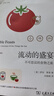 流動的盛宴：不可思議的食物之旅 曬單實(shí)拍圖